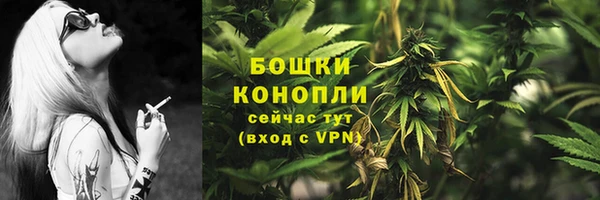 мдпв Вяземский