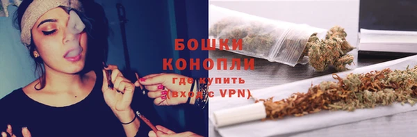 мдпв Вяземский