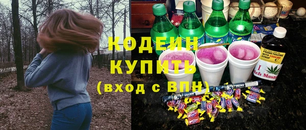 мдпв Вяземский
