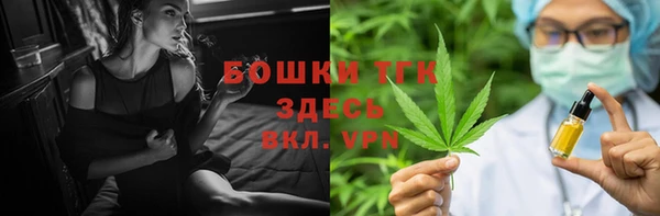 мдпв Вяземский