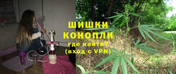 мдпв Вяземский