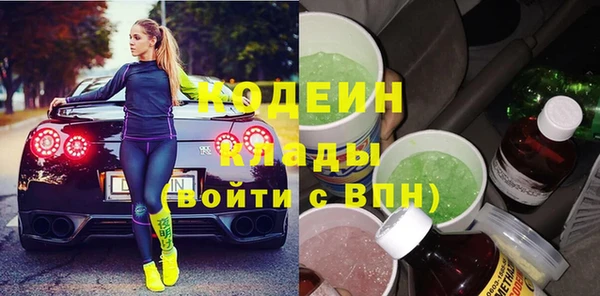 мдпв Вяземский