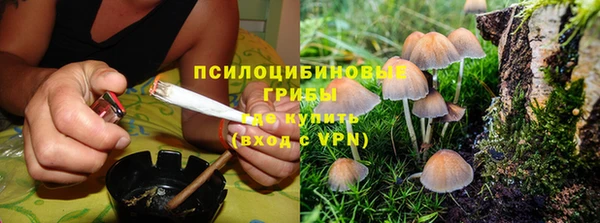 мдпв Вяземский