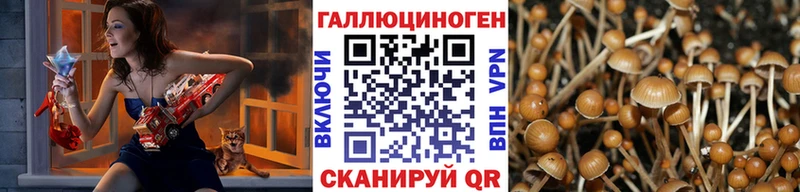 Псилоцибиновые грибы GOLDEN TEACHER Кызыл