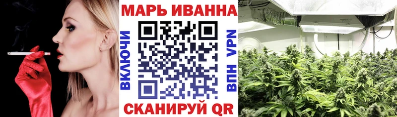 Бошки марихуана Amnesia  как найти   Кызыл 